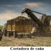 <strong>“Se encargaron de desmantelarlo todo”, la industria azucarera cubana se encamina a una nueva zafra con sólo 15 centrales</strong>