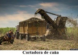 <strong>“Se encargaron de desmantelarlo todo”, la industria azucarera cubana se encamina a una nueva zafra con sólo 15 centrales</strong>